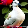 Marlene Ramos828 - @marleneramos828 - TikTok