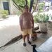 Marlene Ramos - Facebook