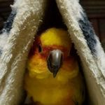 Marlene Randall - @marlene.randall.144 - Instagram