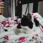 Marlene Rau - @marlene_rau - Instagram