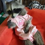 Marlene Reyna - @mistix2005 - Instagram