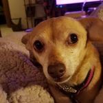 Marlene Delp Ritter - @mritterdelp - Instagram