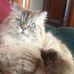 Marlene Roach - Facebook