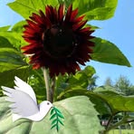 Marlene M. Robbins - Facebook