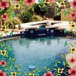 Marlene Robbins - @marlenemrobbins - Instagram