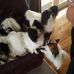 Marlene Robbins - Facebook