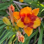 Marlene Robbins - @merrymar1955 - Instagram