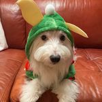 Marlene Carlton Root - @mroot564 - Instagram