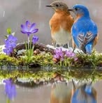 Marlene Rosado - Facebook