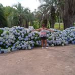 Marlene Rosano - Facebook