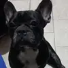 Marlene - @rousendaalmarlene - TikTok