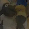 Marlen.Stadelmann-Ruppert - @jonaszzayjj - TikTok