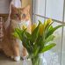 Marlene Rush - Facebook