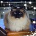 Marlene Ryan - Facebook