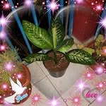 Marlene Said - @saidmarlene - Instagram