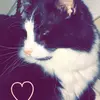 marleen sandberg - @marleensandberg5 - TikTok
