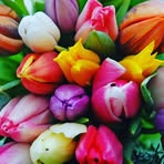 Marlene Sandberg - Facebook