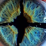 Marlene Sauer - @marlenesauer74 - Instagram
