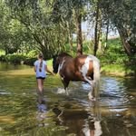 Marlene Sauer - @marl.enesauer - Instagram