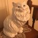 Marlene Savage - Facebook