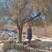 Marleen van der Scheer - Facebook