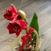 Marlene Schweitzer - Facebook