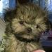 Marlene Schoonover - Facebook