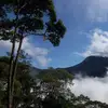 Marlene Schrank - @marlene.schrank - TikTok