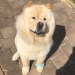 Nala Marlene Schultz - @nala.schultz - Instagram