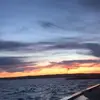roger - @marlene.schultz - TikTok