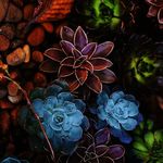Marlene Schuster - @silviasiebel - Instagram