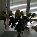 Marlene Schuster - @marlene.schuster.77985 - Instagram