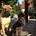 Marlene Schuster - @marlene.schuster.351 - Instagram