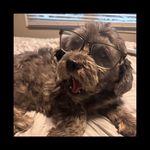 Marlene Segal Schaffner - @specialnurse1 - Instagram