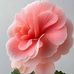 Marlene Guaman Solar - Facebook