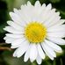 Marlene Sklar - Facebook