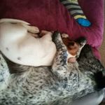 Marlene Small - @marlene.small.982 - Instagram