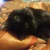 Marlene Small - @marlene.small7 - TikTok