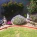 Marlene Sparks - Facebook