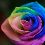 Marlene sparks - @sparksmarlene71 - Instagram