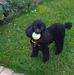 Marlene Spearing - Facebook