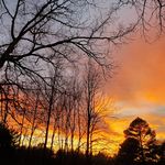 Marlene Spicer - @sunflower42459 - Instagram