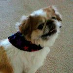 Marlene Springer - @marlene.springer.90 - Instagram