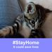 Marlene Spurgeon - Facebook