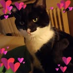 Marlene Stadler - Facebook