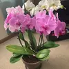 Marlene Stanford - @marlene.stanford - TikTok