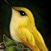 Marlene Stanford - Facebook