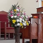 Marlene Stanley - @marlene.stanley.790 - Instagram