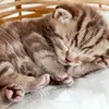 marlene.stern - @marlene.stern - TikTok