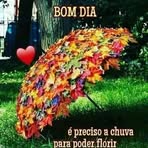 Marlene Storck - Facebook